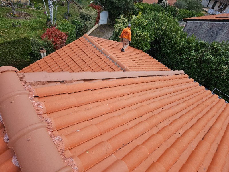 Nettoyage d'une toiture avec peintures extérieures sur faîtage et faîtière anti infiltration à Rabastens