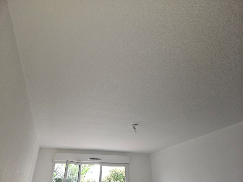 Artisan pour peintures d'un appartement à Castelginest