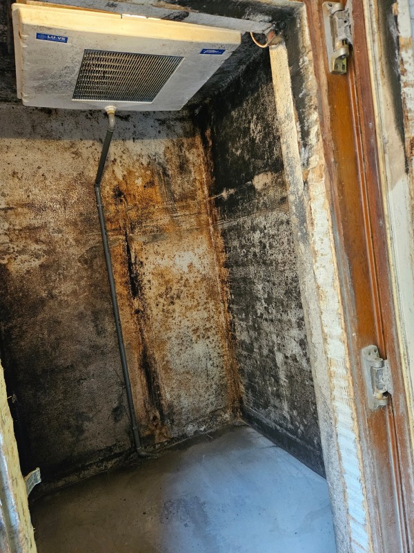 Nettoyage et peinture d'une chambre froide à Bessières