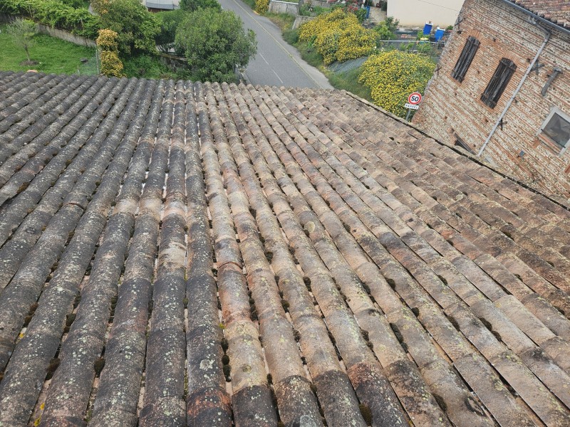 pourquoi mes tuiles deviennent elles noires ?