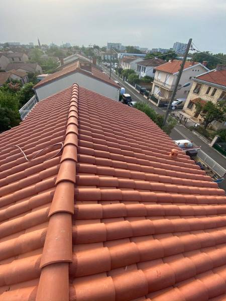 Entreprise de nettoyage de toiture à Rabastens 81800 dans le Tarn : Quel est le prix au m2 ?