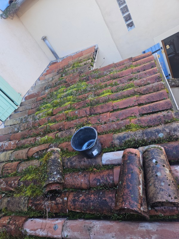 Nettoyage de toiture en profondeur et démoussage de toiture à Gaillac