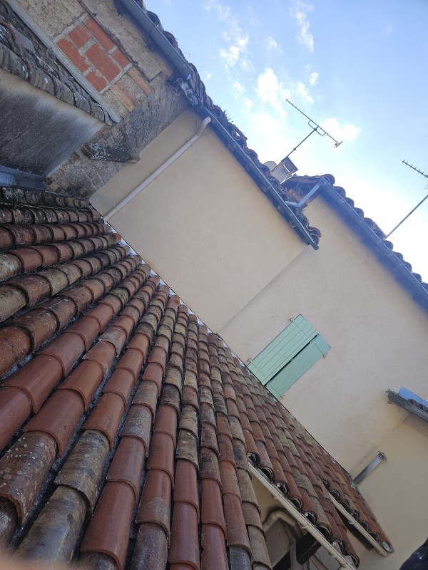 Nettoyage de toiture en profondeur et démoussage de toiture à Gaillac