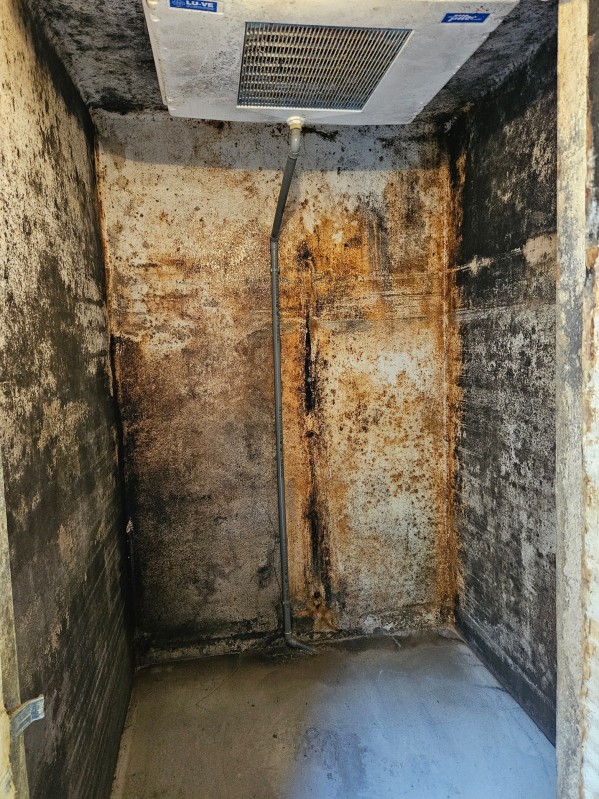 Nettoyage pour boulangerie à Bessières