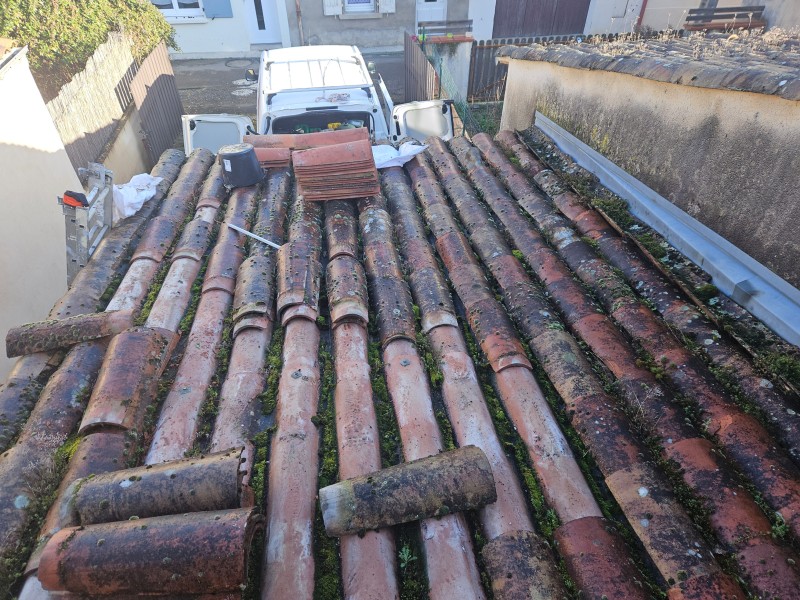 Nettoyage de toiture en profondeur et démoussage de toiture à Gaillac